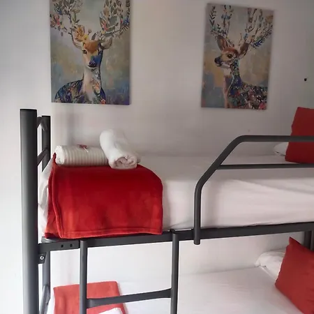 Centro Calzada Centro Apartamento